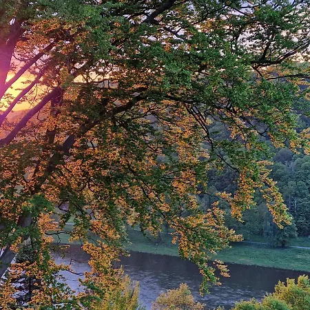 홈스테이 Tinyroom Mit Ausblick 쾨닉슈타인 안 데어 엘베