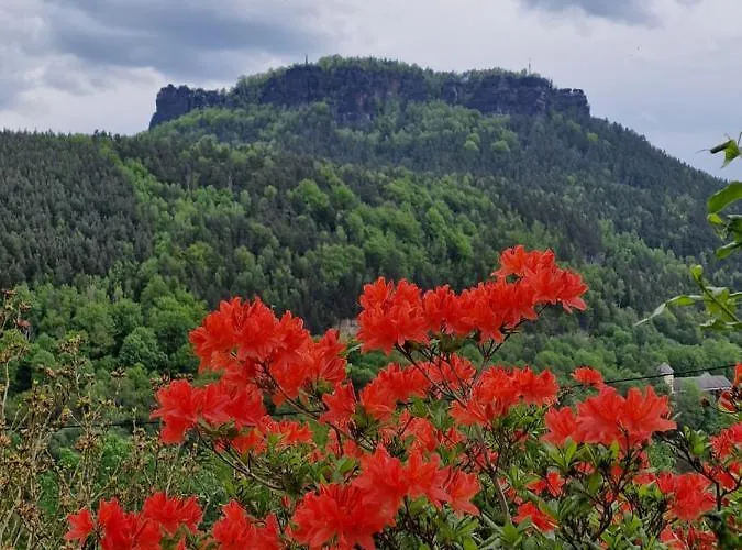 Tinyroom Mit Ausblick Homestay Konigstein an der Elbe